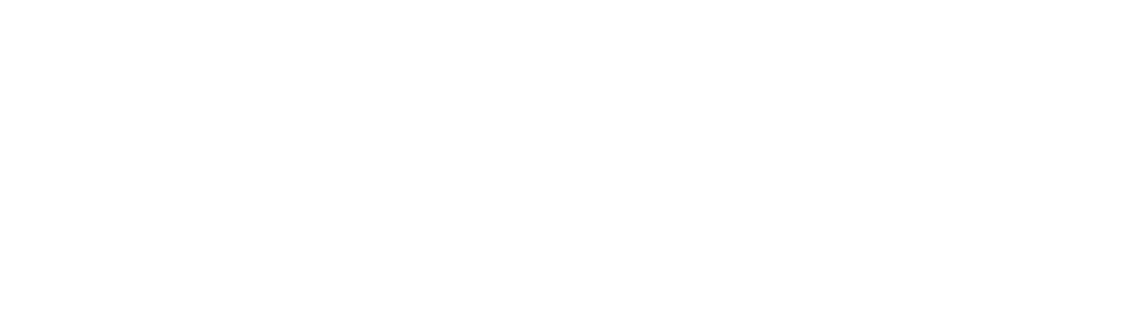 wisesight logo